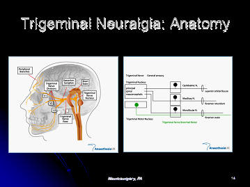 trigeminal neuralgia, nerve supply